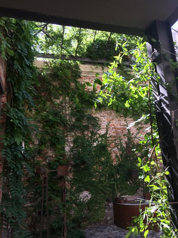 El Patio De Las Glicinas Колония-дель-Сакраменто Экстерьер фото